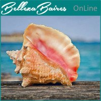 Curso Online de Empoderamiento Majestuoso de la Concha