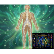 Curso Online de Mesa Radiónica para la Regeneración Nerviosa y Alivio de la Neuropatía Periférica